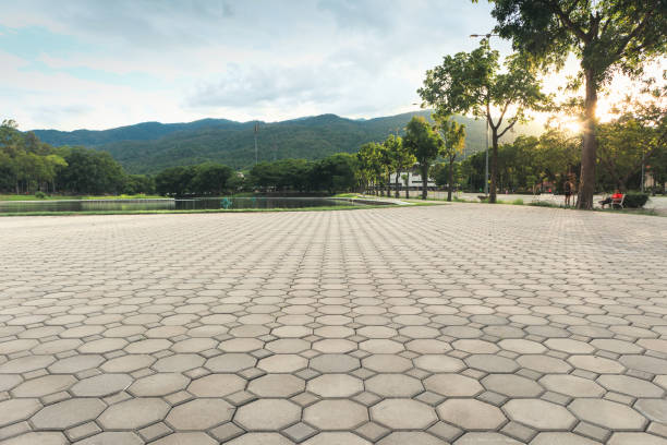 Best Permeable Paver Driveway  in Tega Cay, SC